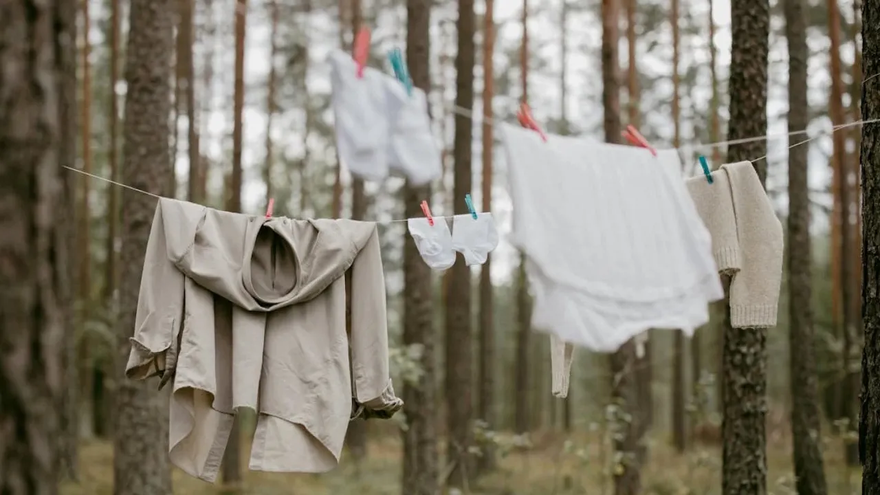 Як прати білі речі, щоб вони не ставали сірими: поради господиням 