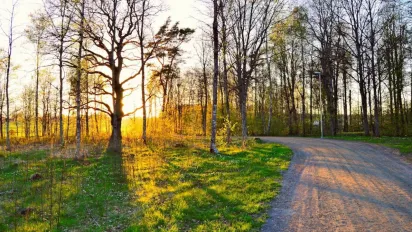 "Нагадуватиме березень": синоптик розповів, якою буде погода цього тижня - фото