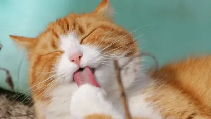 "Розігріє до +10°": Прогноз погоди на тиждень в Україні - фото