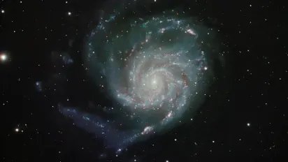 Гороскоп на 21 січня 2025 року для всіх знаків Зодіаку - фото