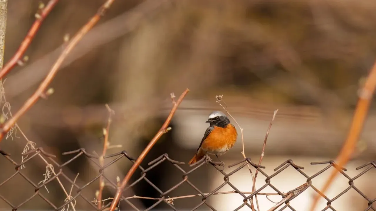 В Україну йде потепління: прогноз синоптика 