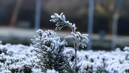 Детальний прогноз погоди на лютий 2025 року в Україні - фото