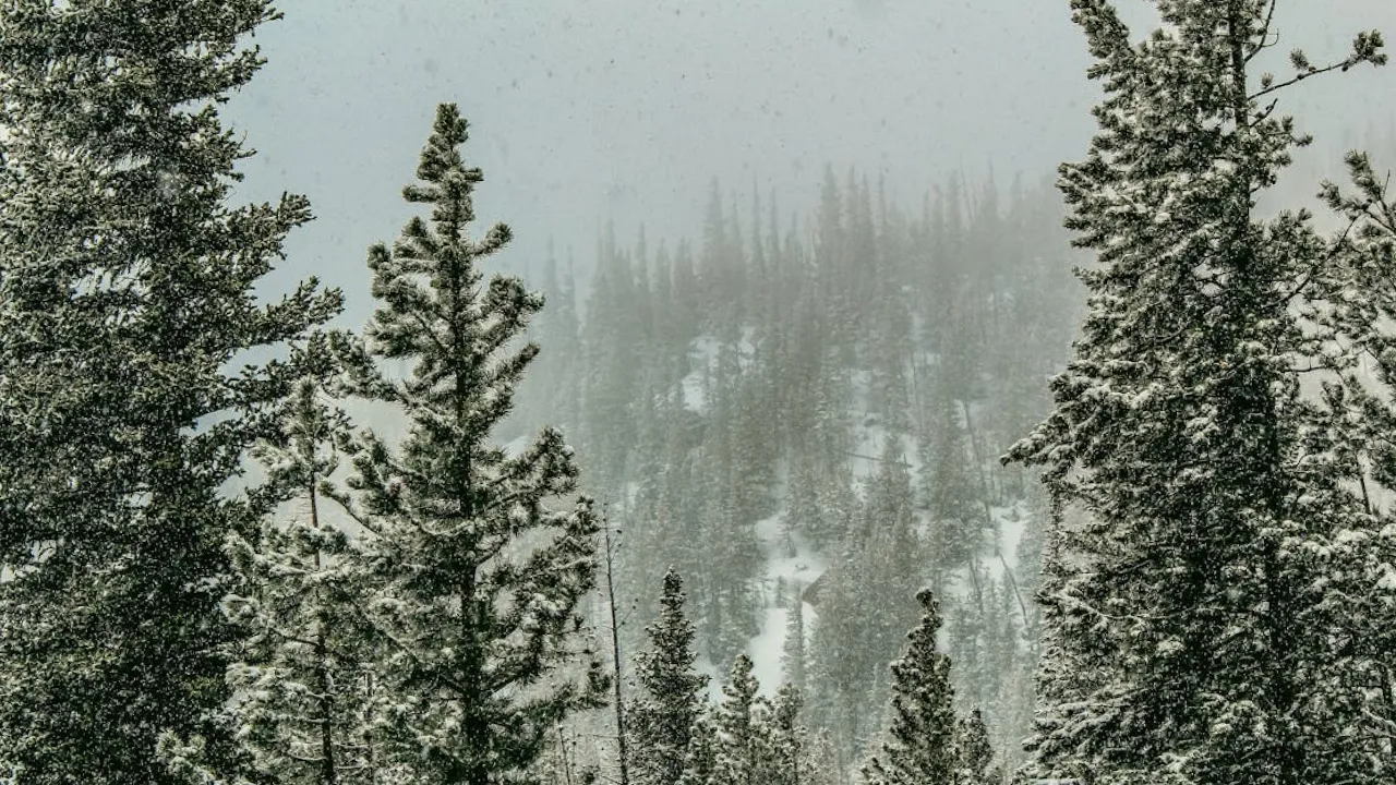 Циклон Eowin несе негоду до Європи: синоптик розповів, якою буде погода в Україні 