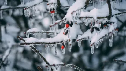 Гороскоп на 26 січня 2025 року для всіх знаків Зодіаку - фото