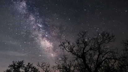  Гороскоп на 27 січня 2025 року для всіх знаків Зодіаку - фото