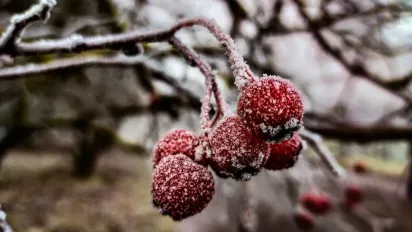 Із 1 лютого температура знижуватиметься: прогноз погоди на найближчі дні - фото