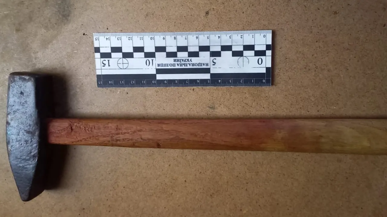 На Вінниччині син жорстоко вбив батька молотком 