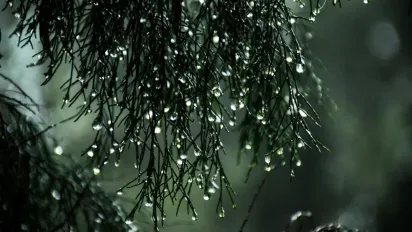 В Україну йдуть дощі та похолодання: де та коли погіршиться погода - фото