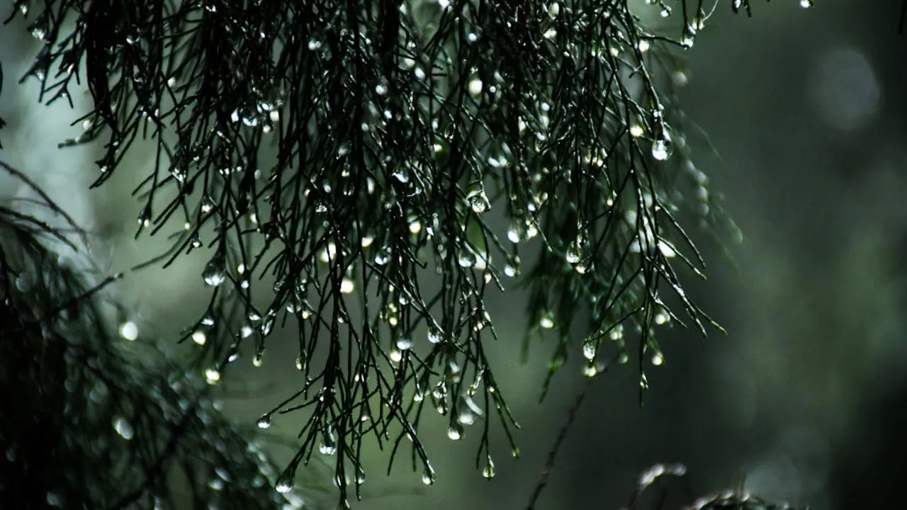 В Україну йдуть дощі та похолодання: де та коли погіршиться погода 