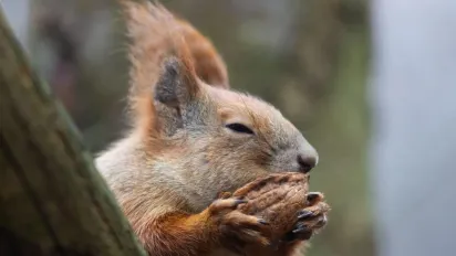 "Ще трохи тепла, а тоді похолодання": в Україні очікується зміна погоди  - фото