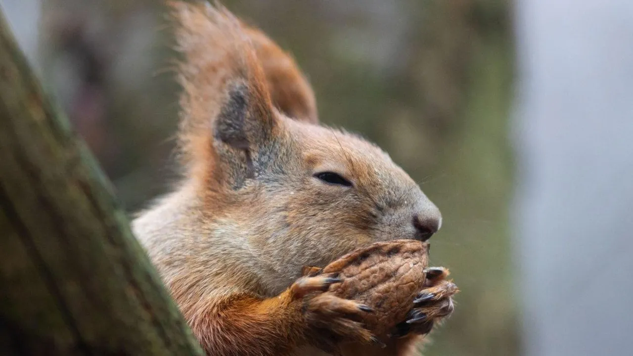 "Ще трохи тепла, а тоді похолодання": в Україні очікується зміна погоди  