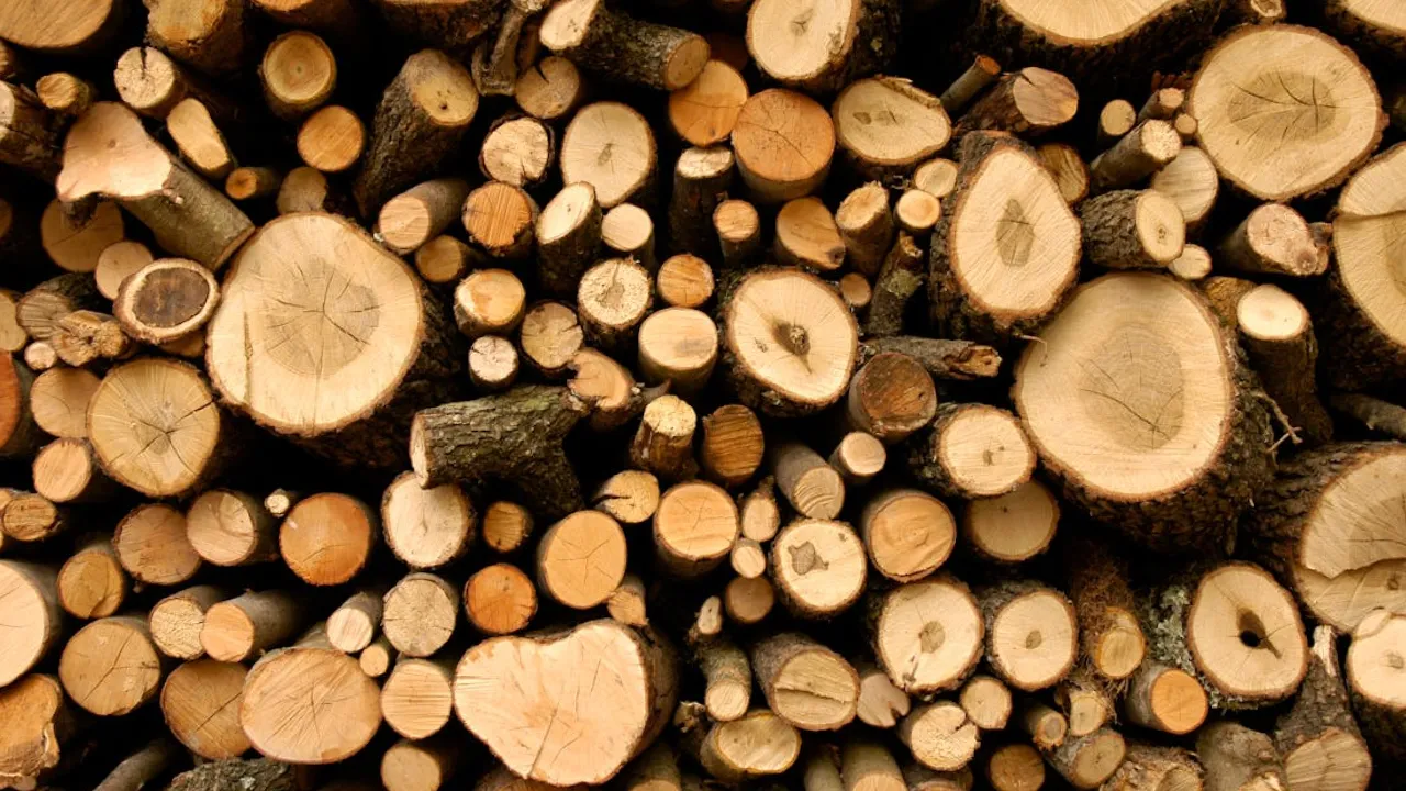 Українцям видають гроші на дрова: хто може отримати та скільки платять 