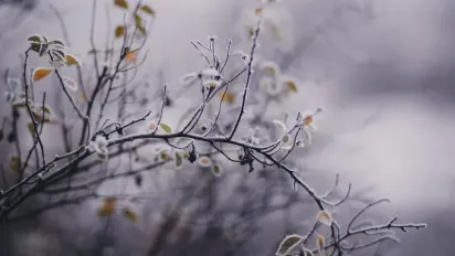 Якою буде погода 4 лютого: прогноз синоптикині - фото