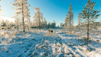 В Україну насувається циклон: прогноз погоди на 5 лютого - фото