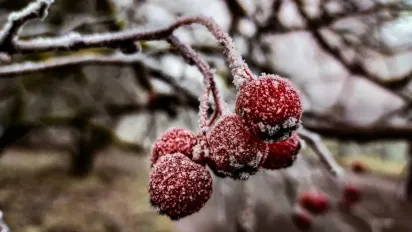 До України йде потужний антициклон: що буде з погодою - фото