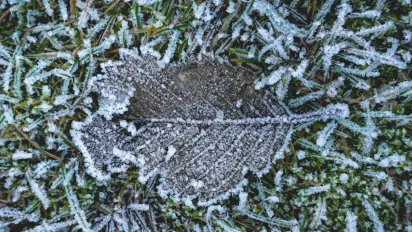 Температура падатиме до -8°: прогноз погоди на найближчі дні - фото