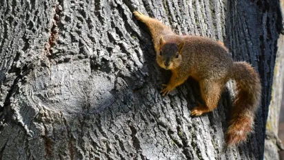 Чи варто готуватися до сильних морозів і опадів в Україні: прогноз синоптикині - фото