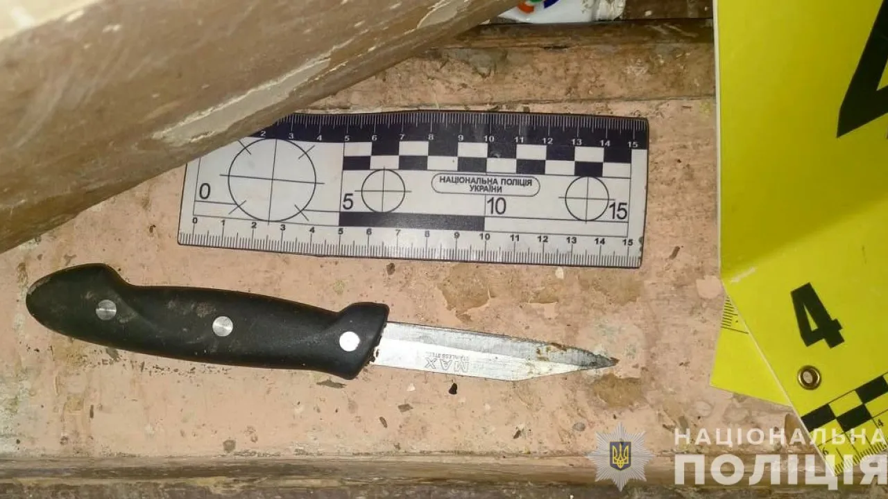 На Закарпатті чоловік вдарив ножем у шию 47-річну дружину брата 