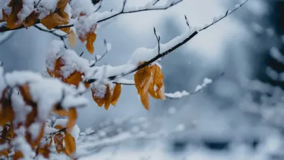 На погоду впливатиме потужний антициклон Elvira: прогноз синоптика - фото