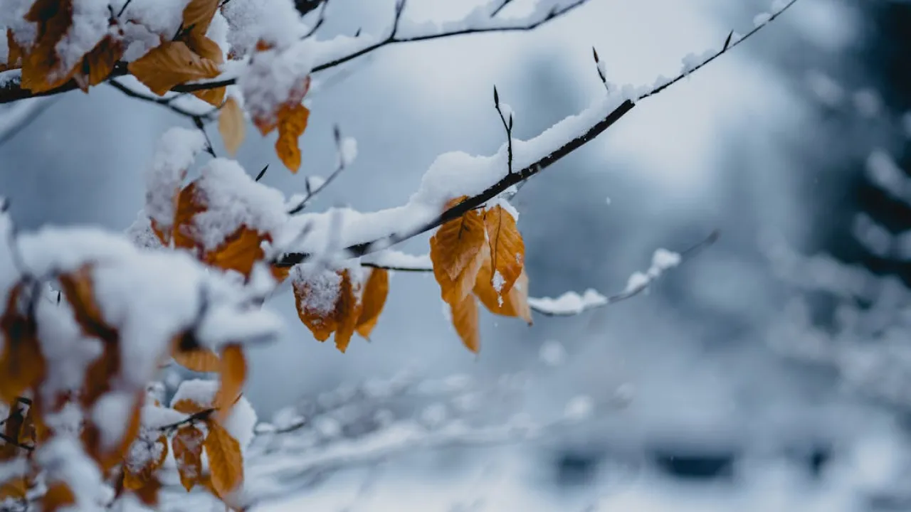 На погоду впливатиме потужний антициклон Elvira: прогноз синоптика 