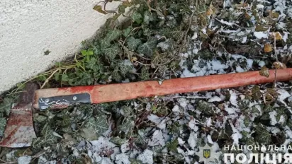 Святкував іменини: на Тернопільщині 20-річний хлопець порубав сокирою трьох приятелів - фото