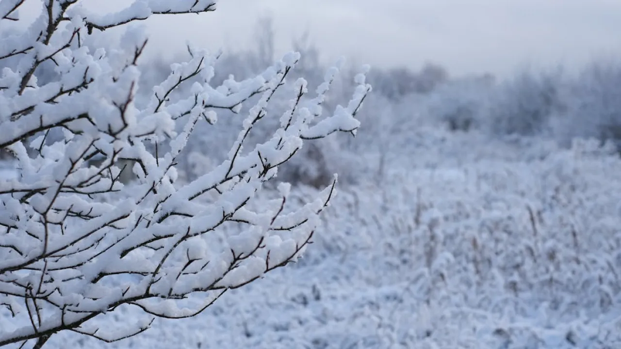 До України йде сніг: синоптик повідомив, коли погода зміниться 