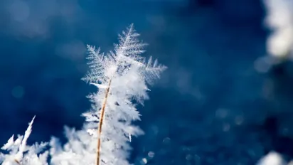  Гороскоп на 11 лютого 2025 року для всіх знаків Зодіаку  - фото