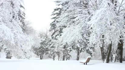 Синоптикиня повідомила, коли в Україні буде сніг - фото
