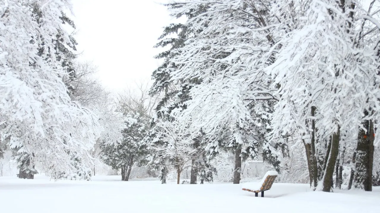 Синоптикиня повідомила, коли в Україні буде сніг 