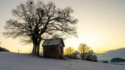 Синоптикиня озвучила точну дату, коли в Україні почнеться потепління - фото