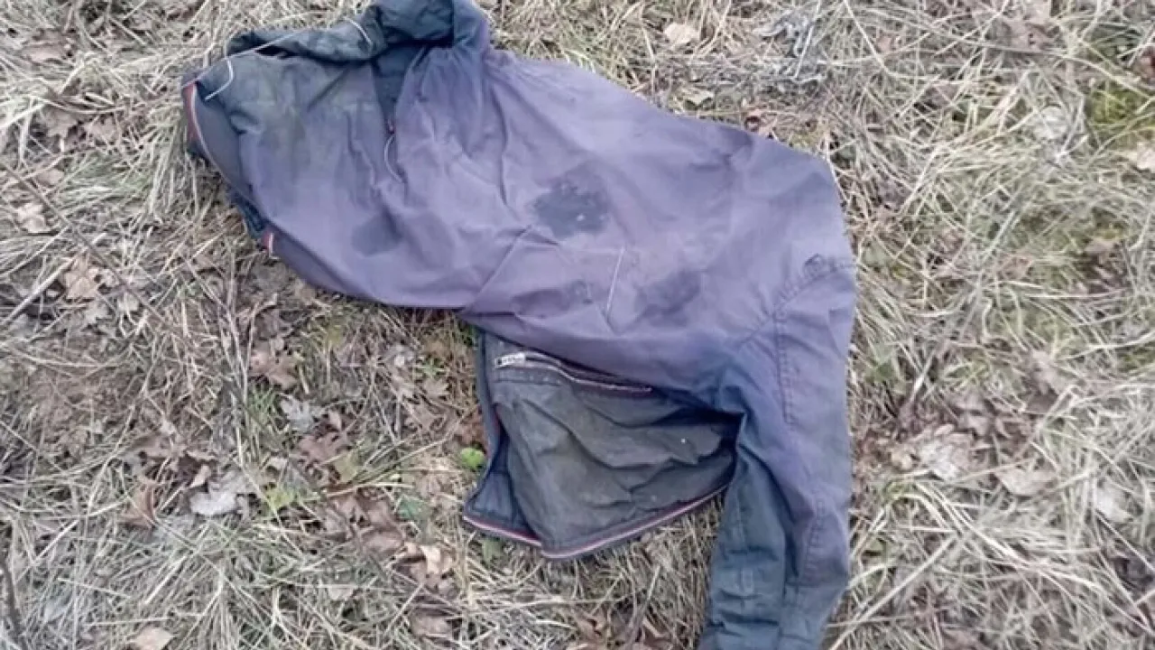 На Тернопільщині у лісопосадці знайшли людські рештки 