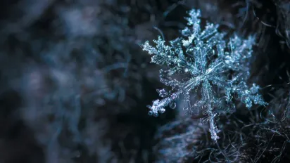 Гороскоп на 12 лютого 2025 року для всіх знаків Зодіаку - фото