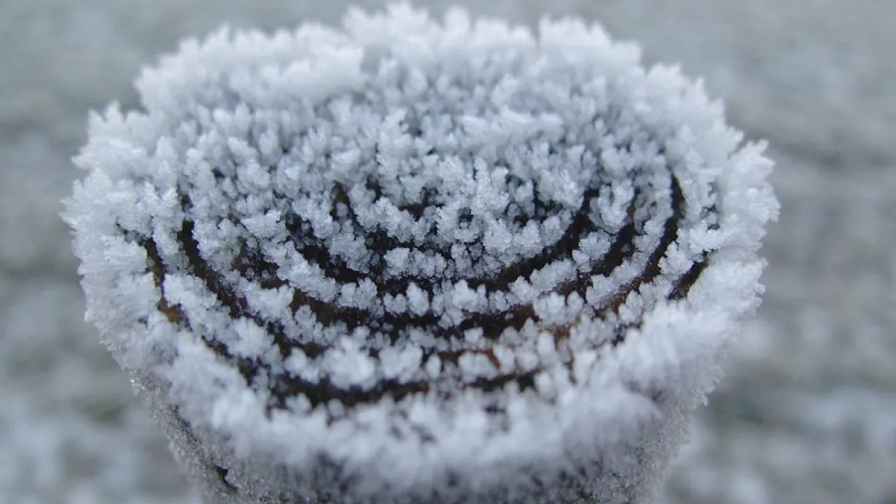 В Україні очікується погіршення погоди: прогноз синоптика 
