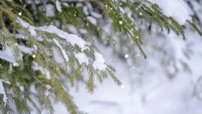 Гороскоп на 13 лютого 2025 року для всіх знаків Зодіаку - фото