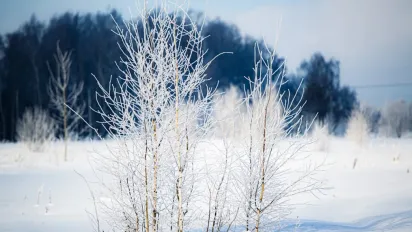 В Україну йдуть морози і сніг: синоптикиня повідомила, коли зміниться погода - фото