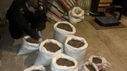 На Рівненщині викрила підпільний цех з бурштином, вартістю на понад мільйон гривень - фото