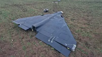 Стало відомо, скільки російських шахедів збила Україна з початку року - фото