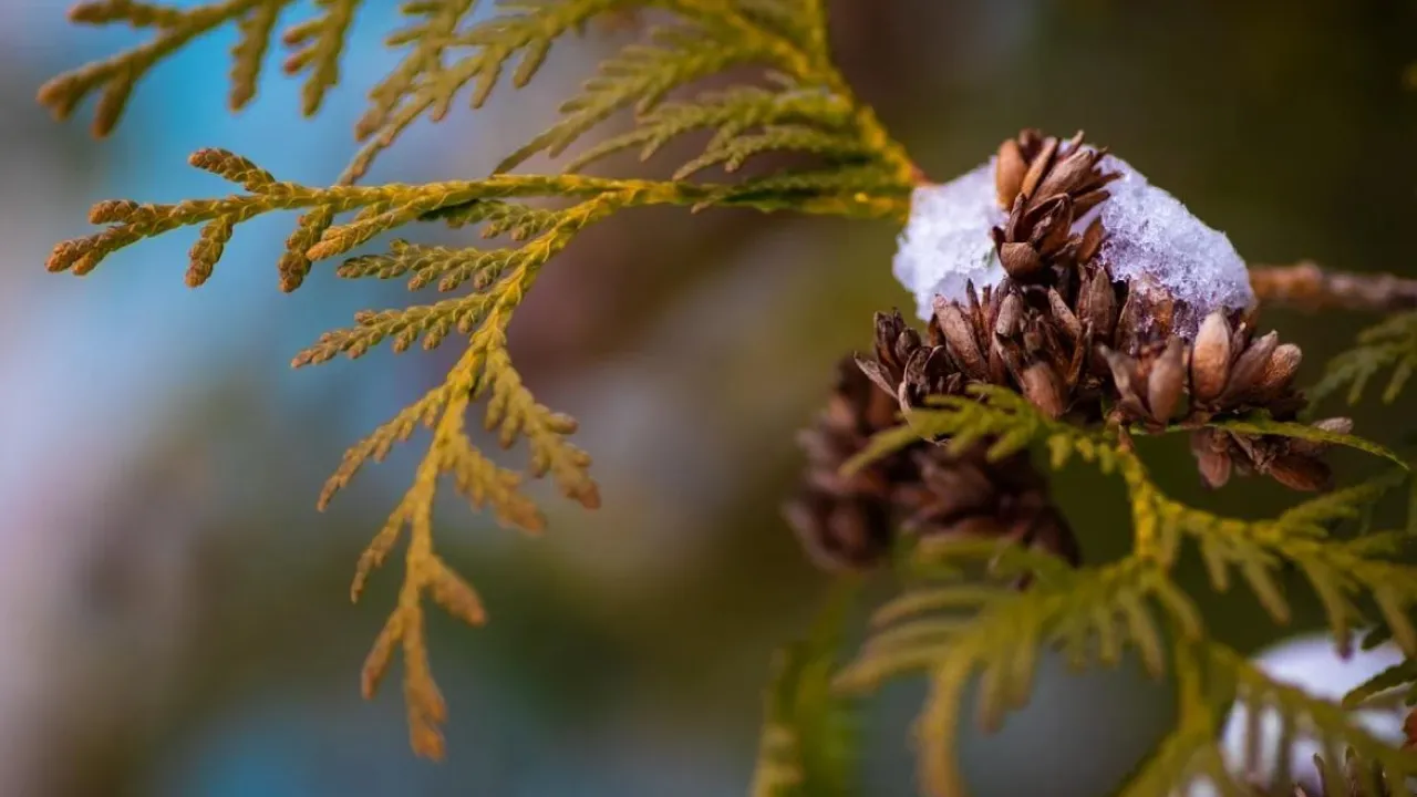 Синоптикиня назвала точну дату, коли в Україні може потеплішати 