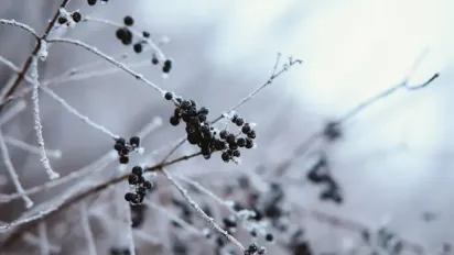 "Закутуйте носа": синоптикиня розповіла про погоду в понеділок - фото