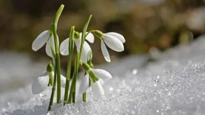 Якою буде весна 2025 року в Україні: прогноз синоптиків на кожен місяць - фото