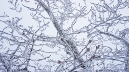 В Україну йде аномальний мороз: прогноз синоптика - фото