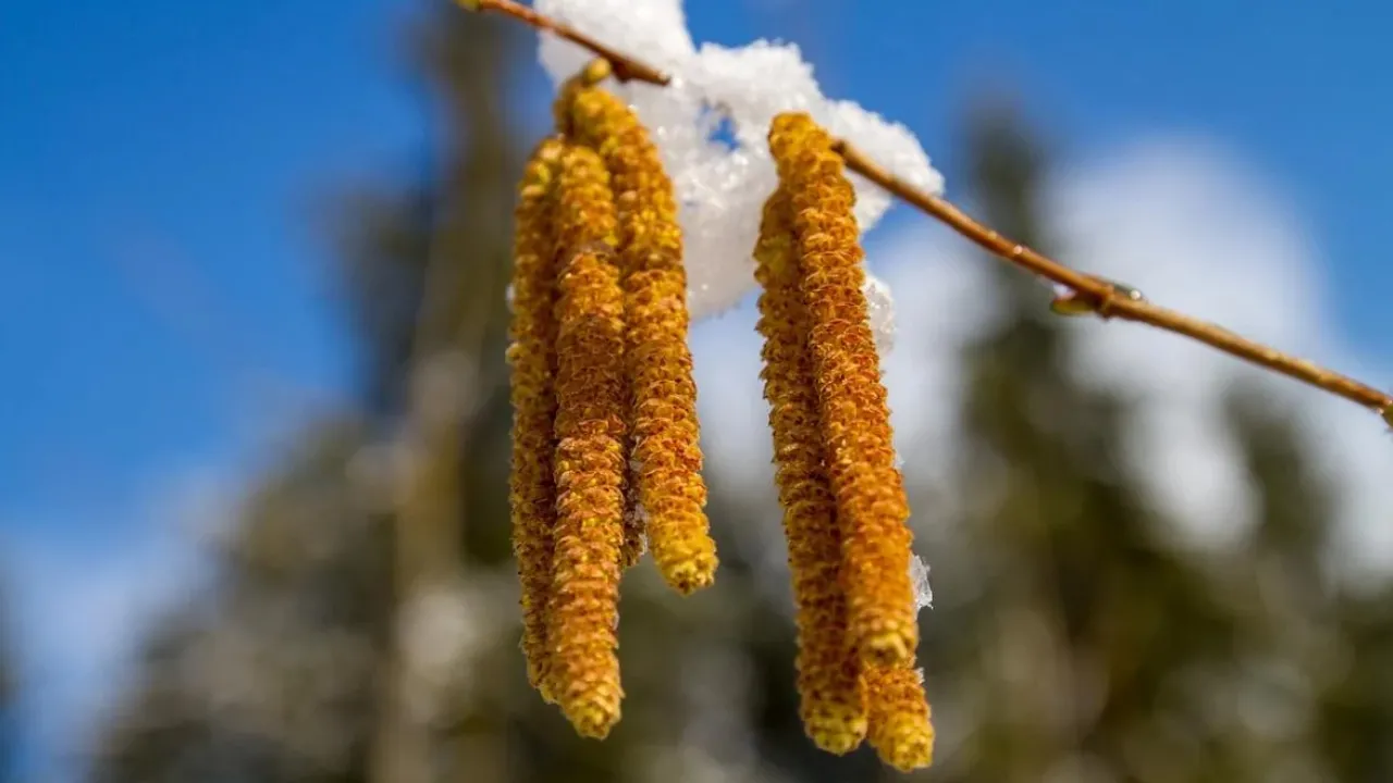 Коли в Україну прийде потепління: прогноз синоптикині  