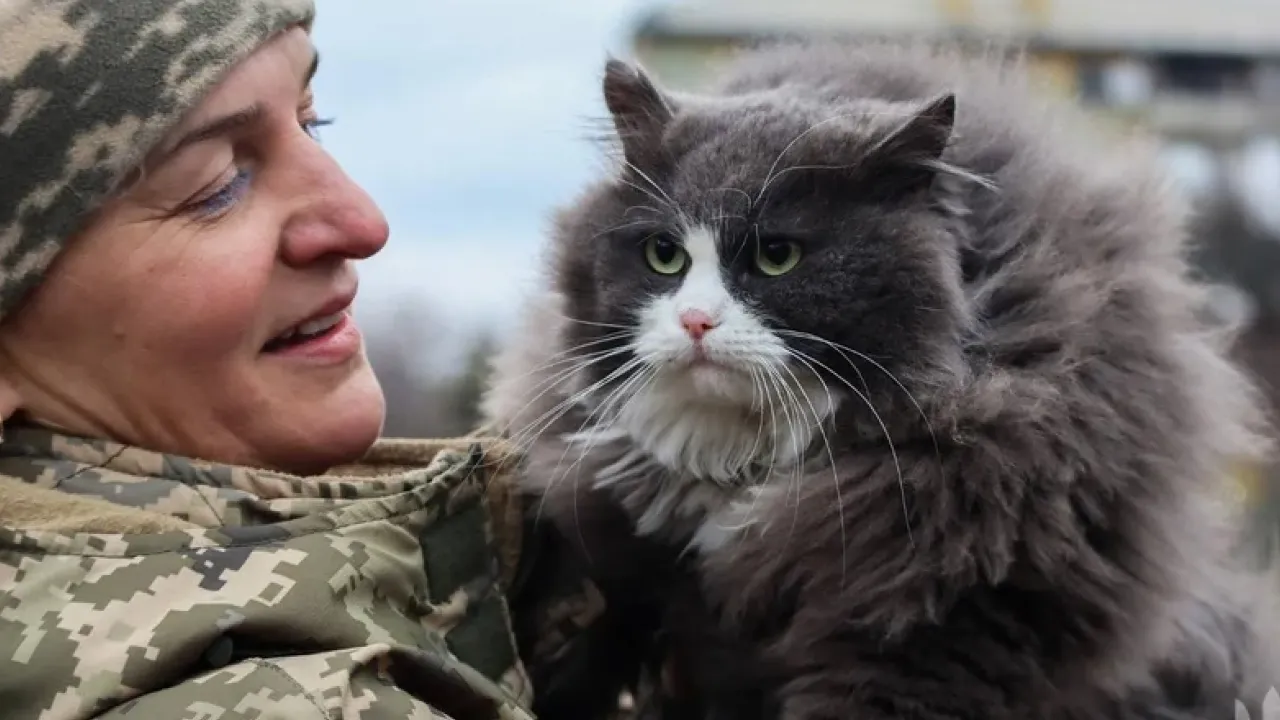 Відстрочка з 1 березня: хто і як може отримувати і які правила мобілізації в Україні 