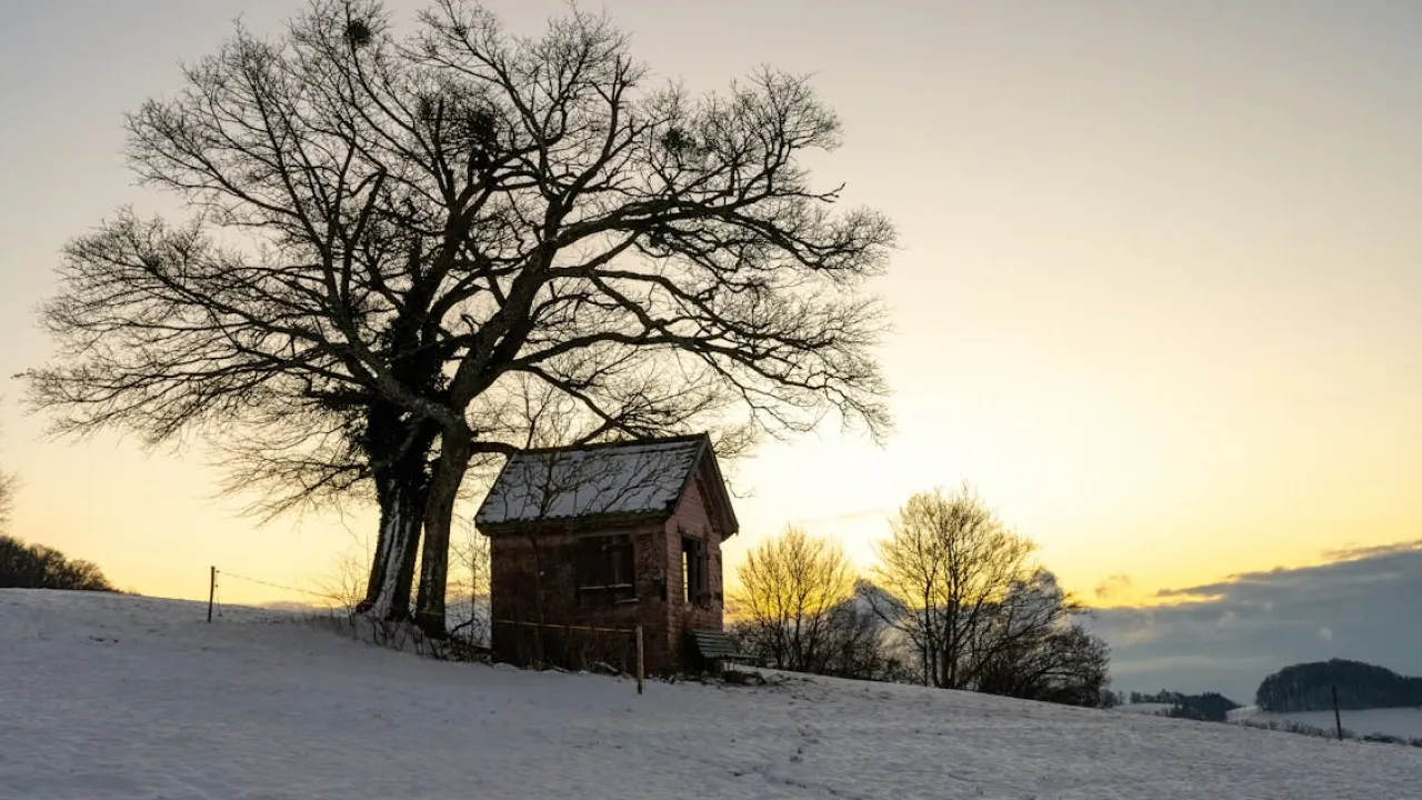 В Україну повертається 10-градусне тепло: названо дату 