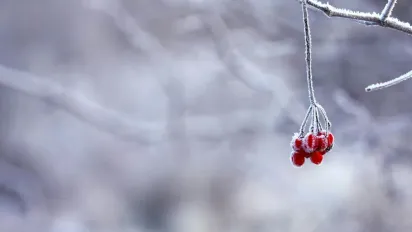 В Україну насувається антициклон: прогноз погоди на 21 лютого - фото