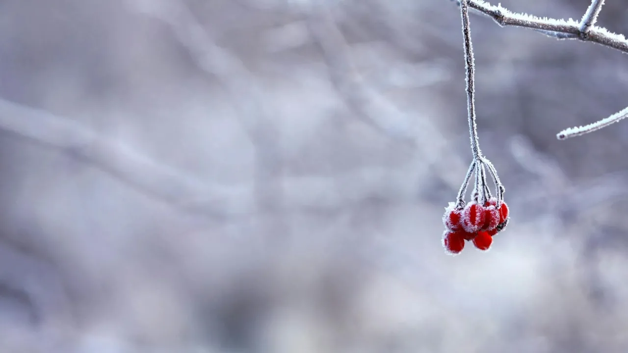 В Україну насувається антициклон: прогноз погоди на 21 лютого 