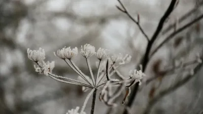 Гороскоп на 21 лютого 2025 року для всіх знаків Зодіаку - фото