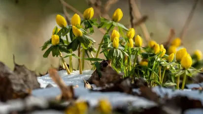 В Україну йде потепління до +16 градусів: названо дату - фото