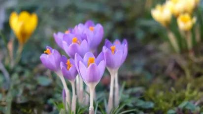 Антициклон йде геть: в Україну насувається потужне потепління - фото