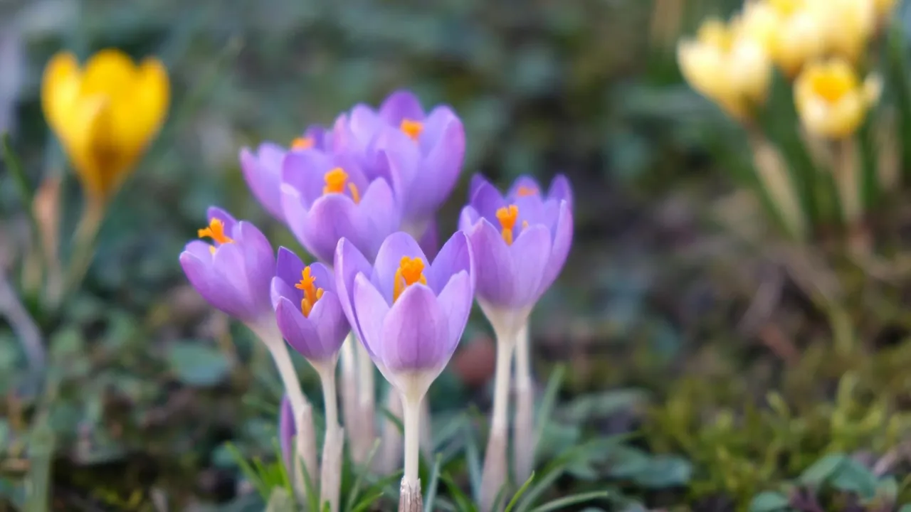 Антициклон йде геть: в Україну насувається потужне потепління 